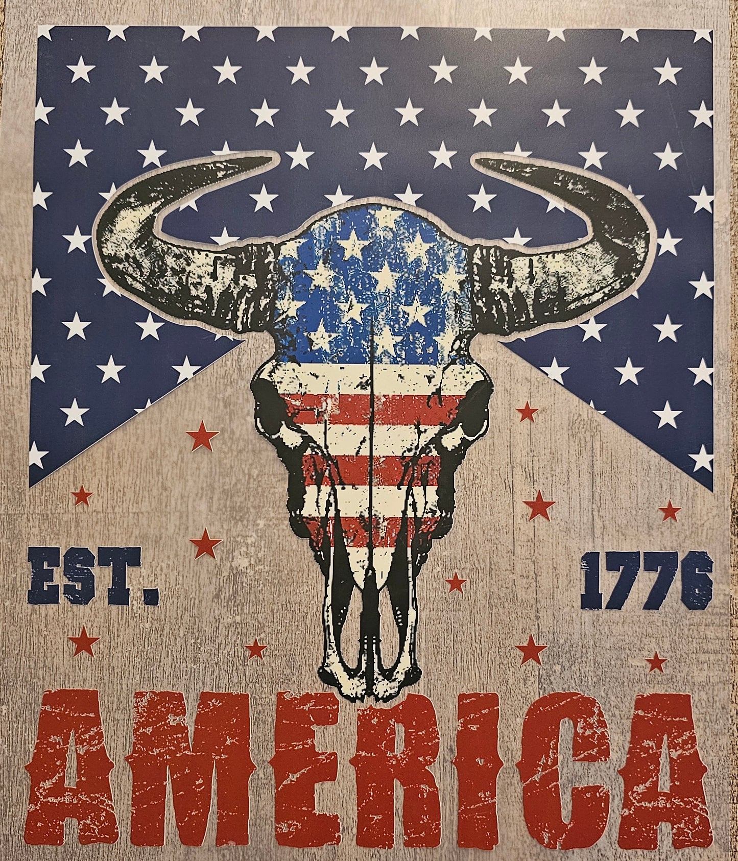 4th of July America DTF