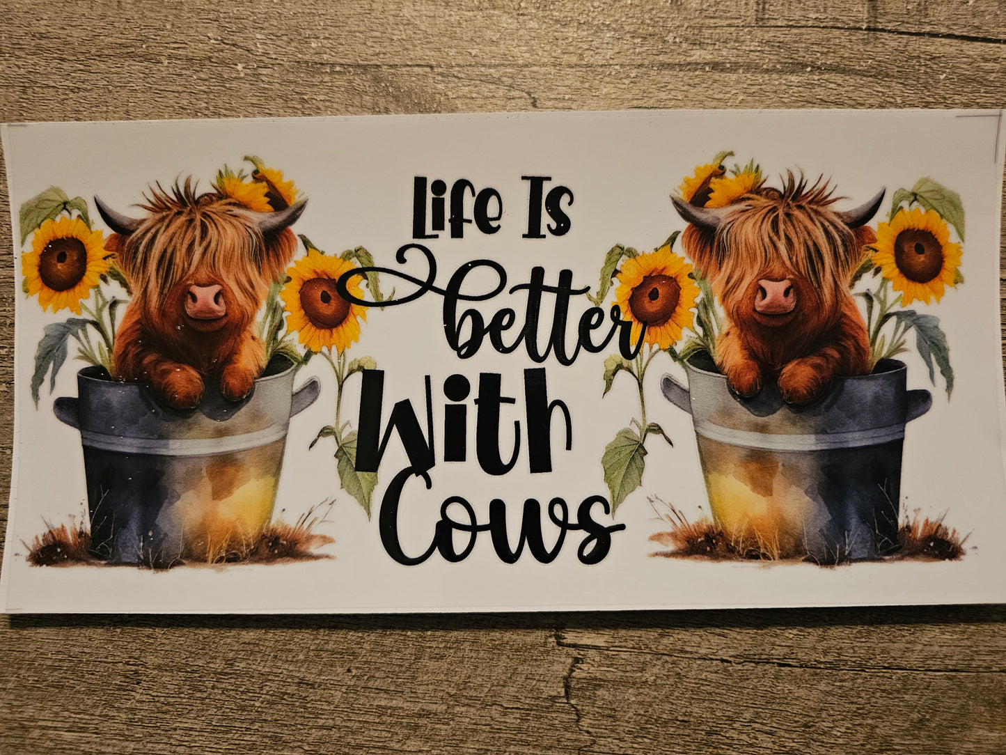 Life With Cows 16oz Wrap