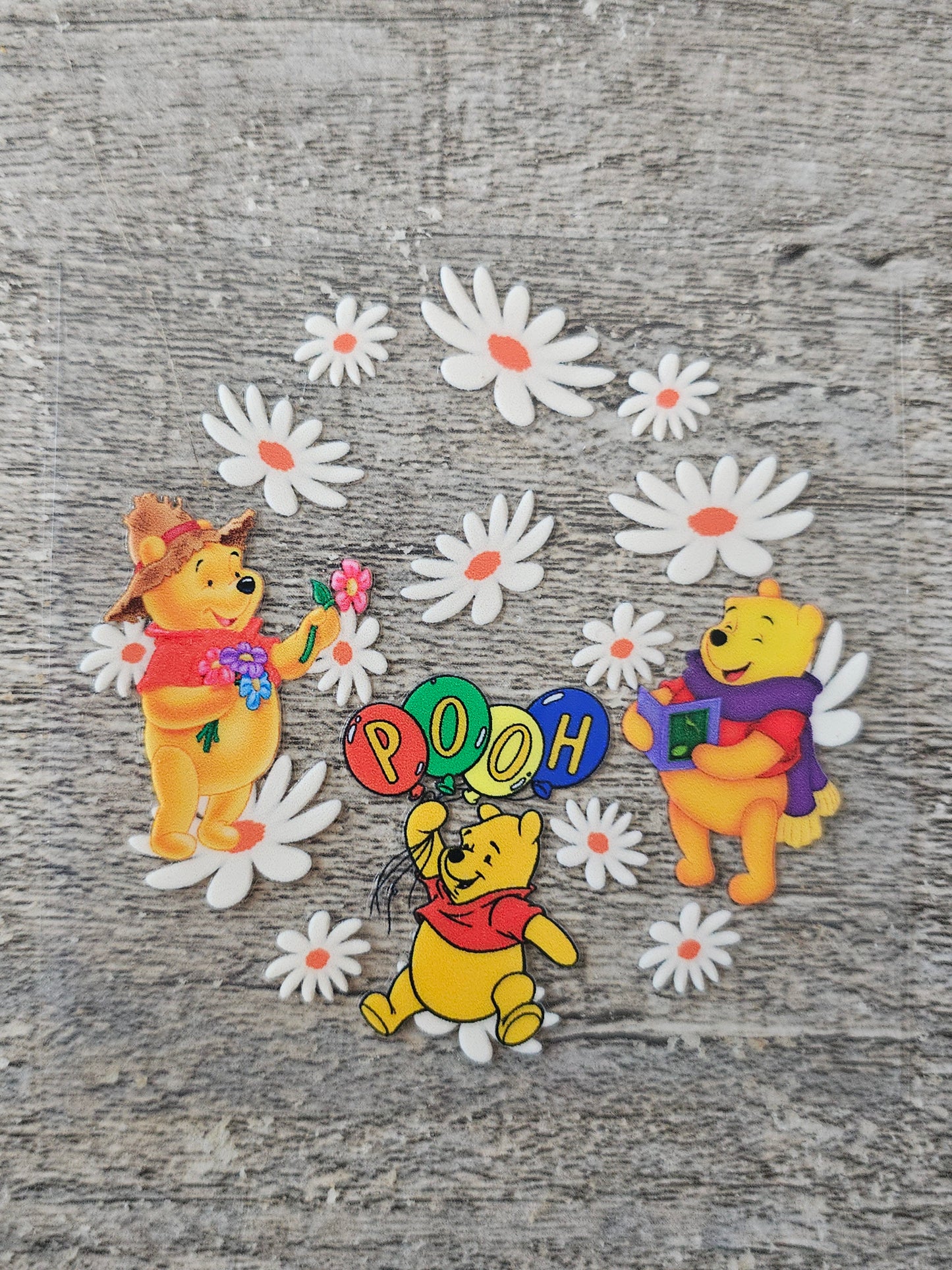 Bear Round Wrap