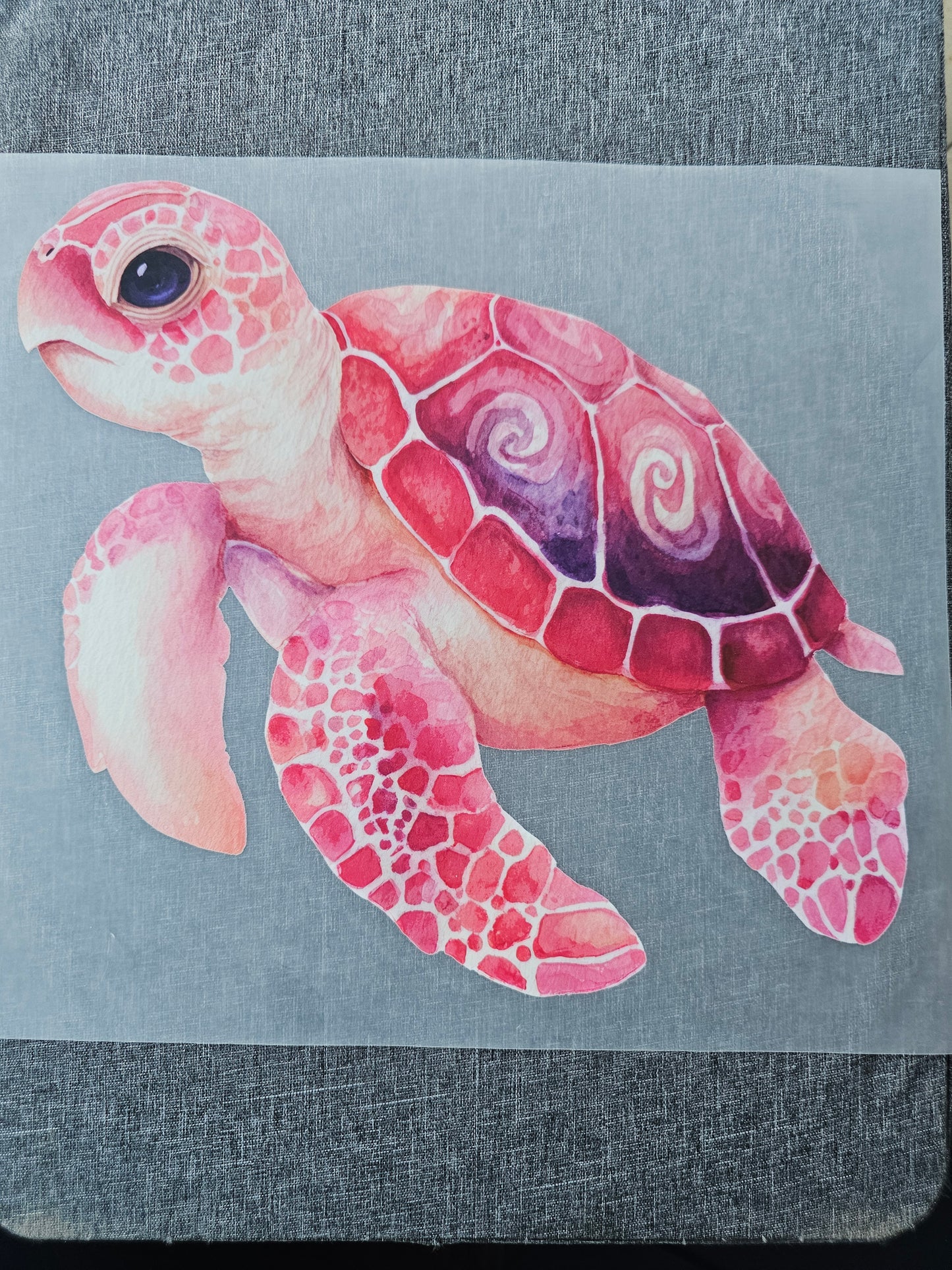 Turtle DTF