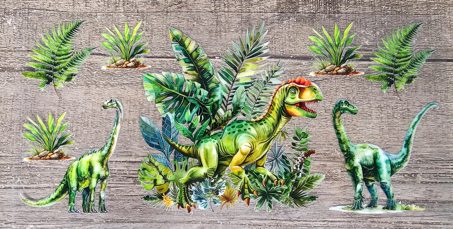 Dinosaur 16oz Wrap