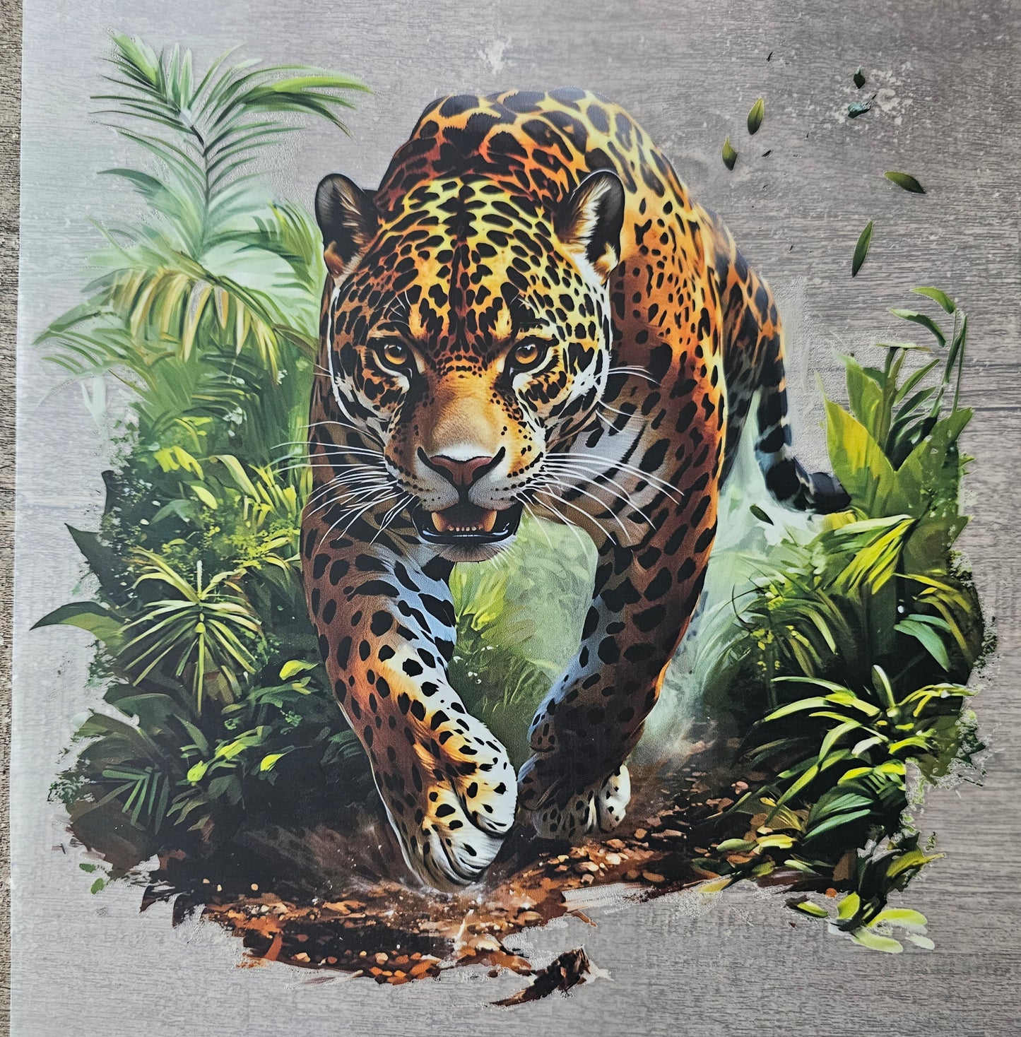 Cheetah DTF