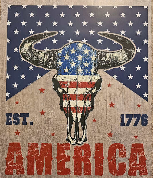 4th of July America DTF