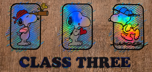 Holographic Dog 16oz Wrap