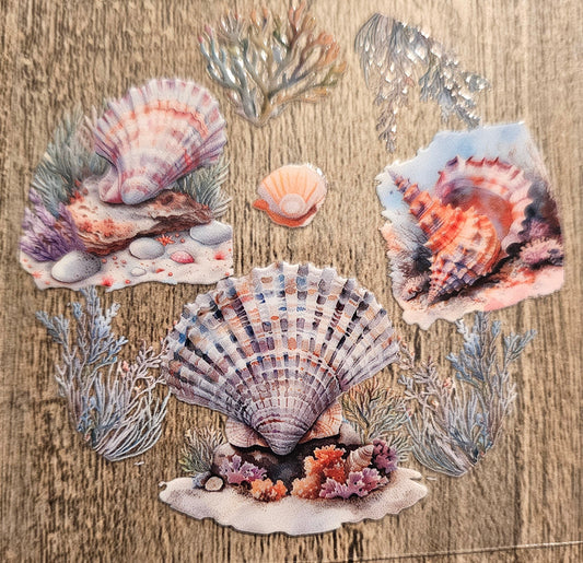 Seashell Round Wrap