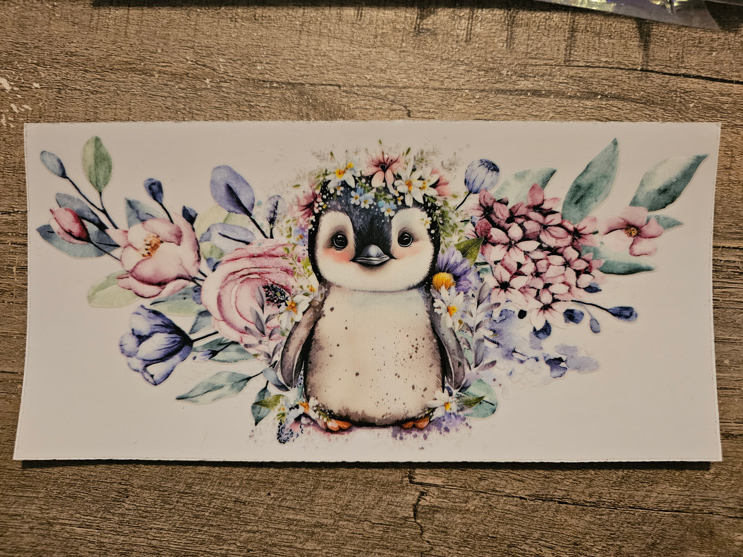 Penguin 16oz Wrap