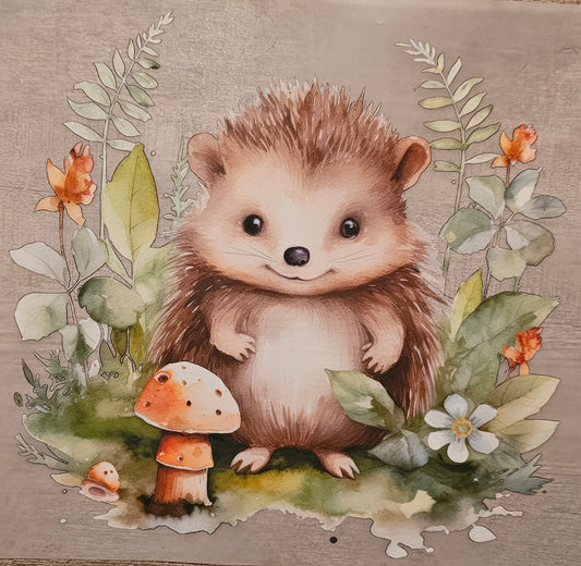Hedgehog DTF