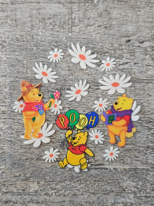 Bear Round Wrap